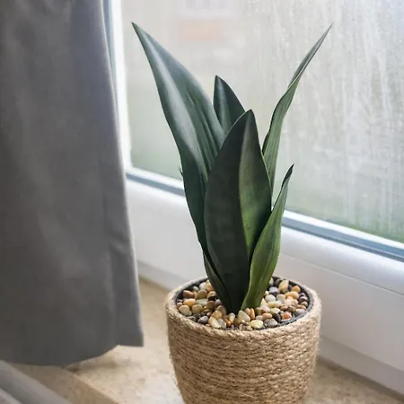 & Restaurant Hasa * Gernrode (Saxony-Anhalt)